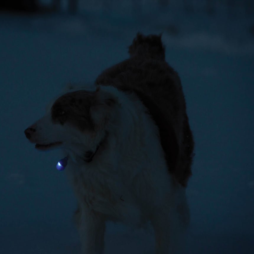 Safety Light