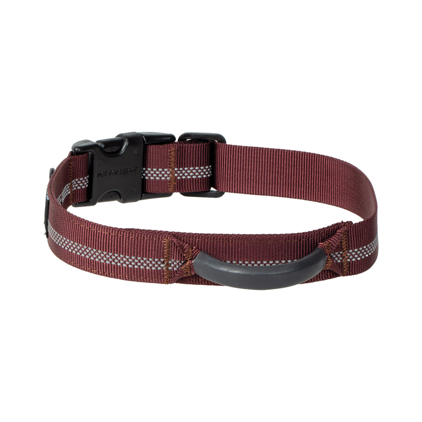 Reflective Trailhead Collar