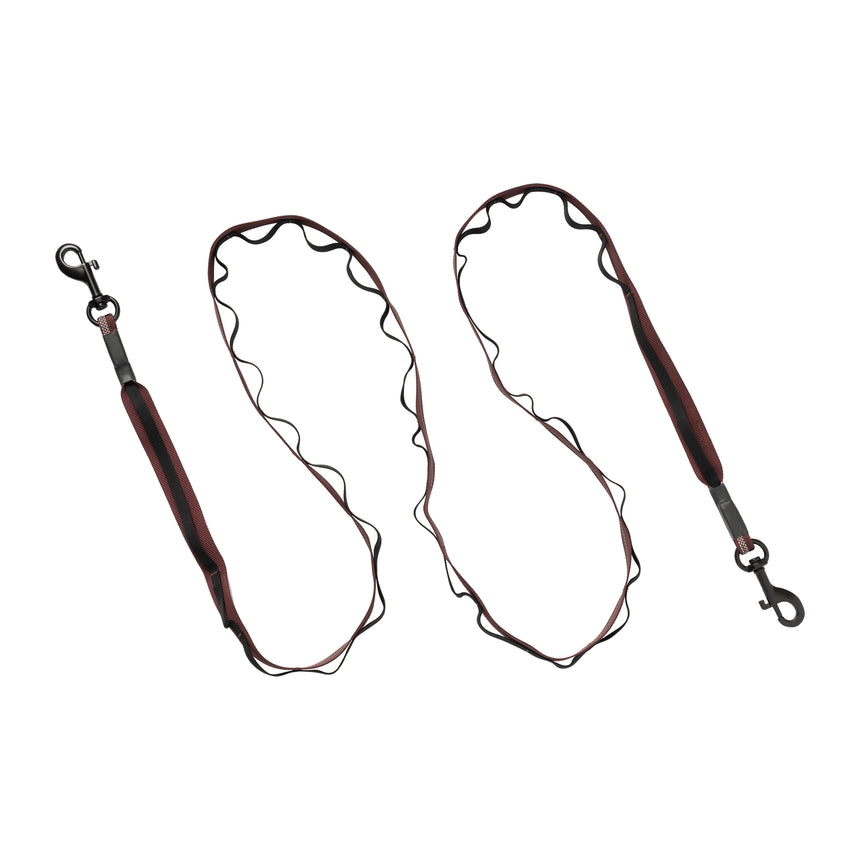 Reflective Trailhead Dual Snap Leash