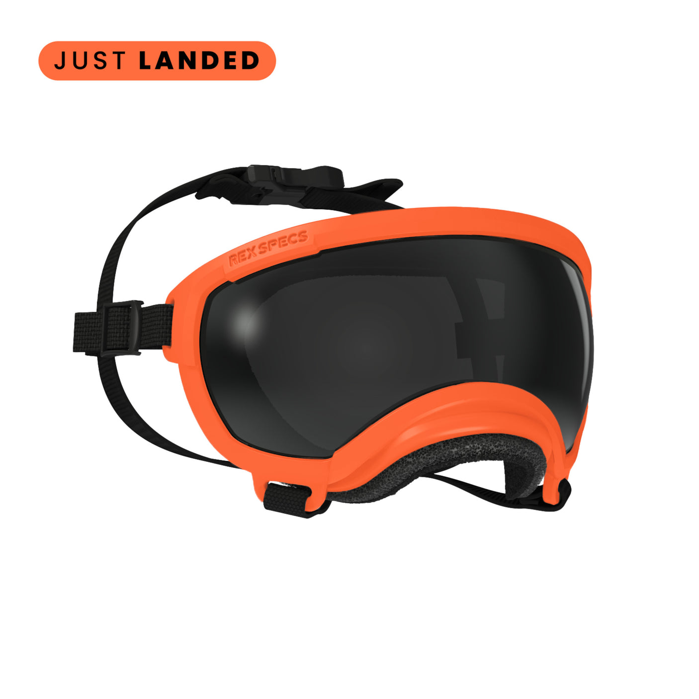 Goggles for Dogs - V2