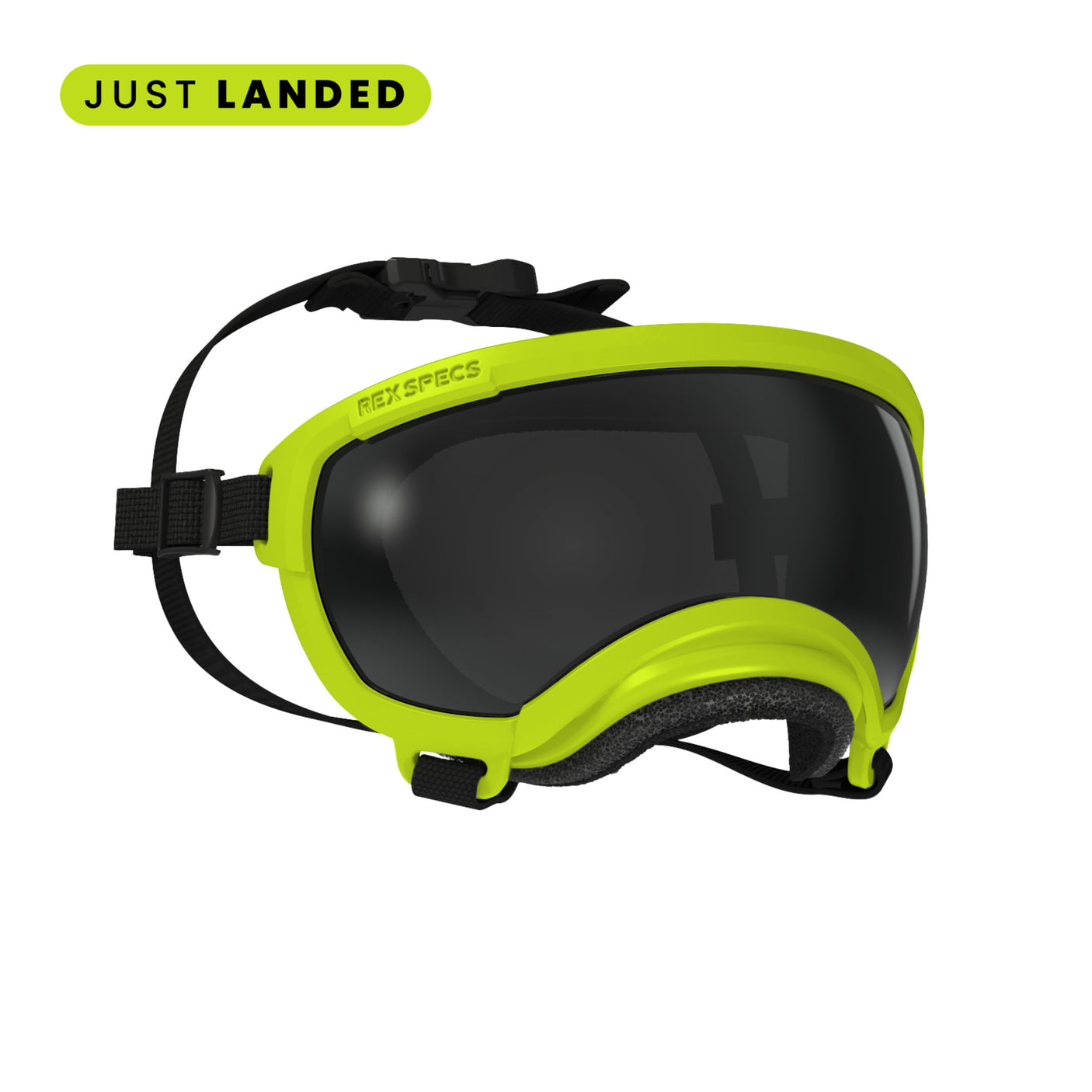 Goggles for Dogs - V2