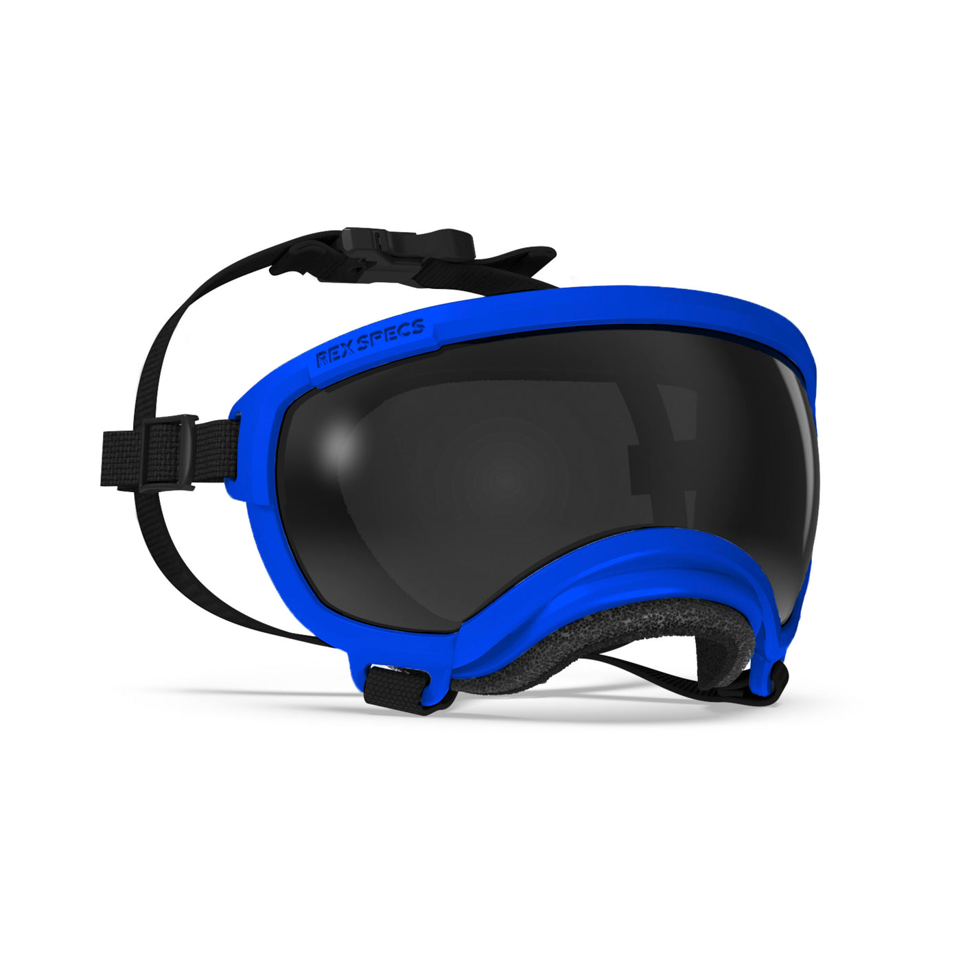 Goggles for Dogs - V2