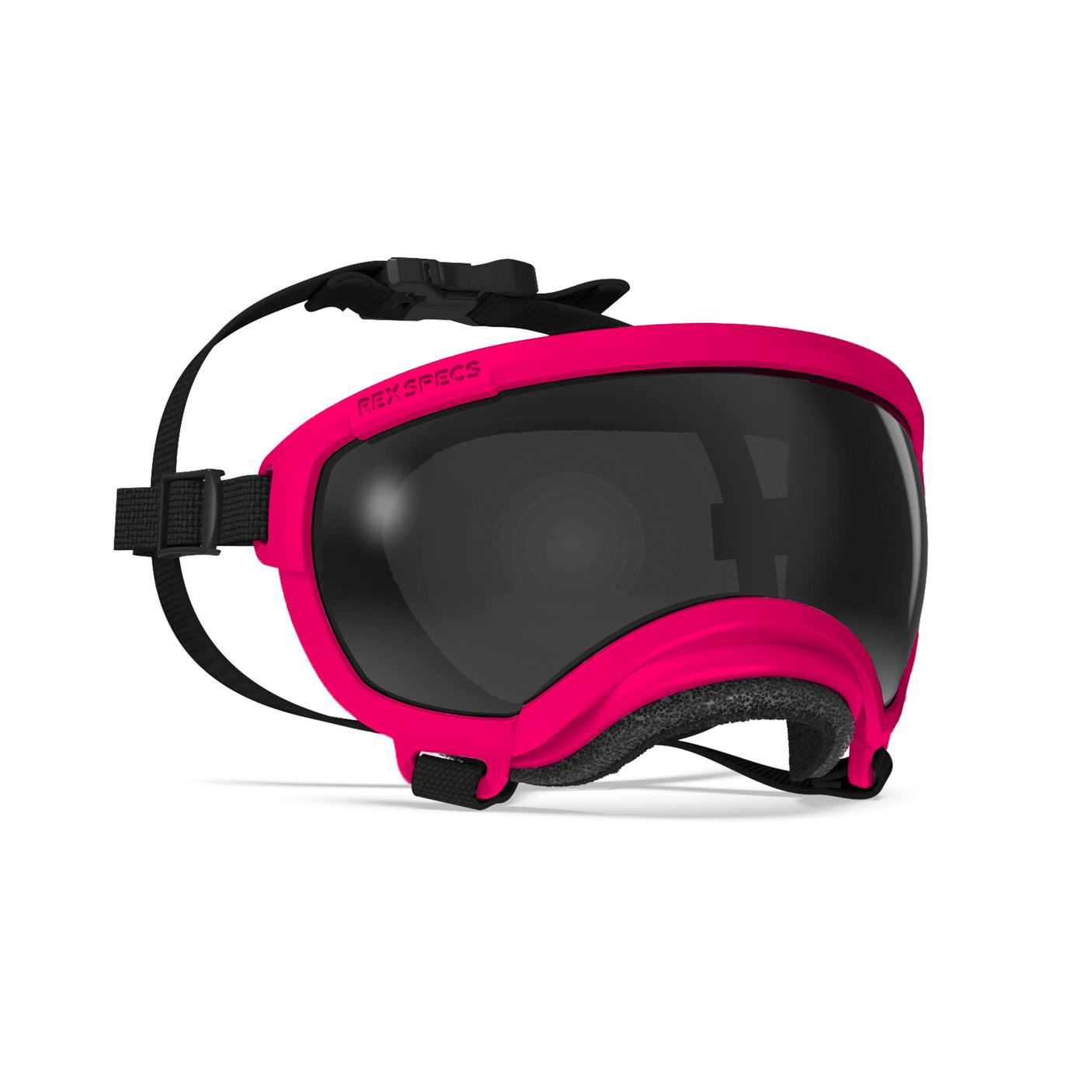 Goggles for Dogs - V2