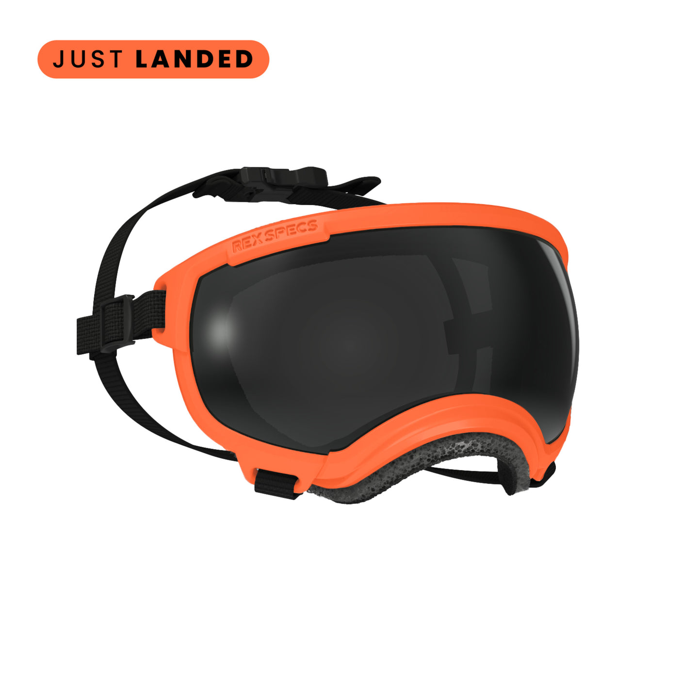 Goggles for Dogs - V2