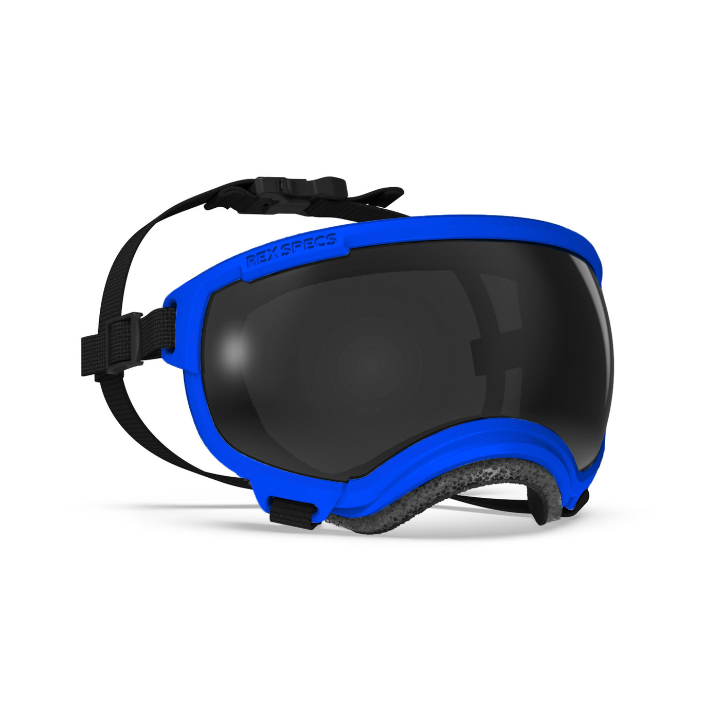 Goggles for Dogs - V2