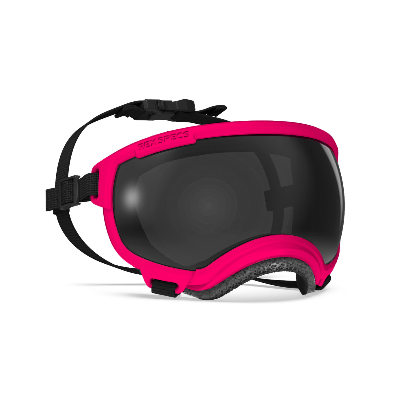 Goggles for Dogs - V2