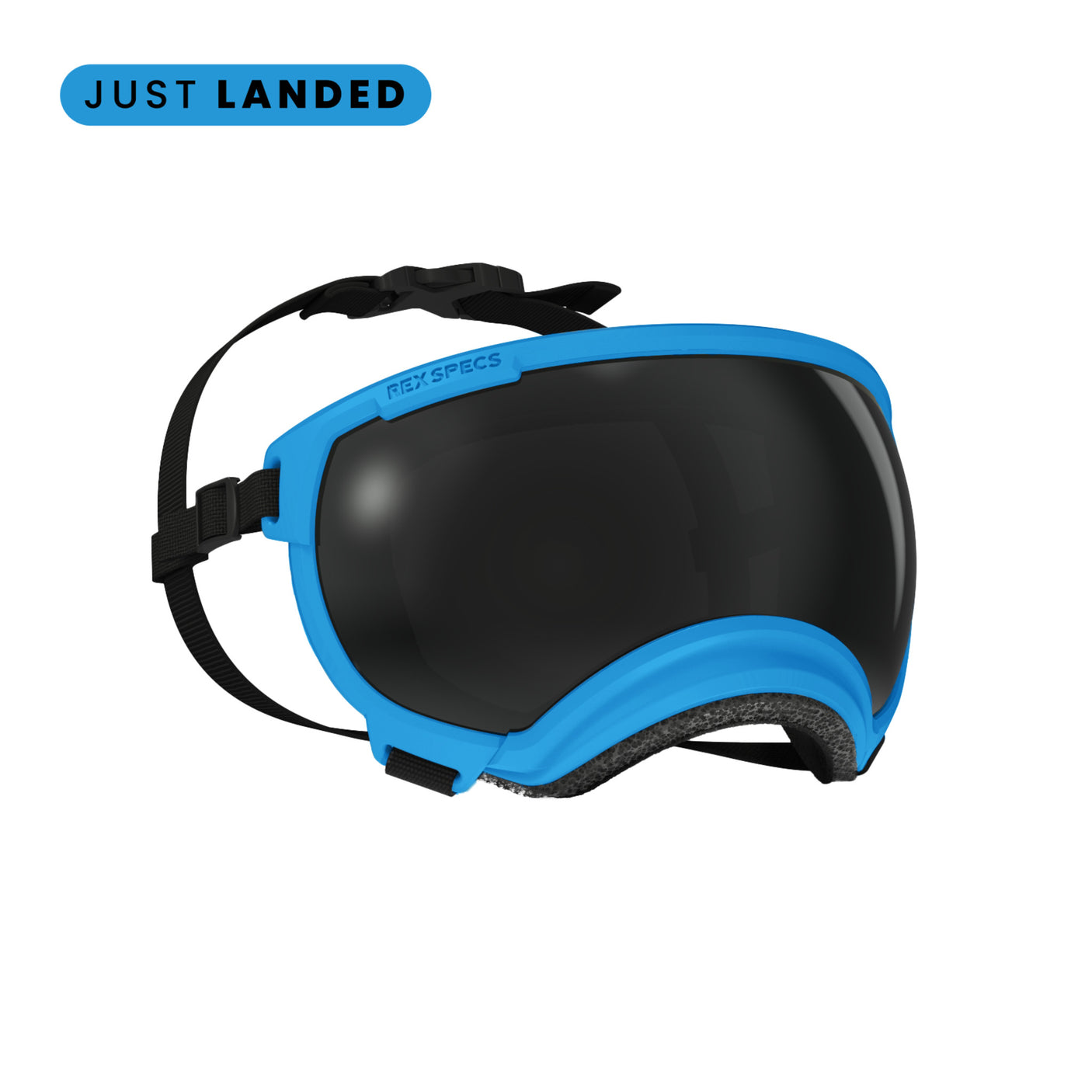 Goggles for Dogs - V2