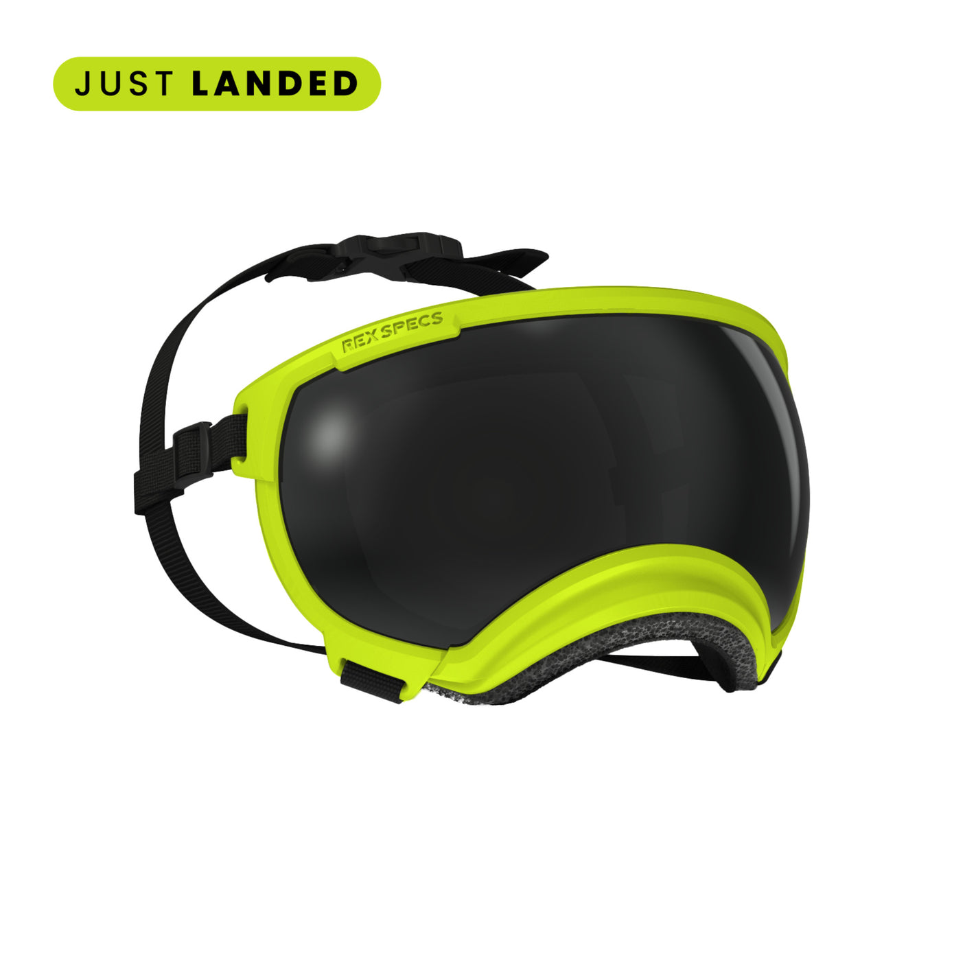 Goggles for Dogs - V2