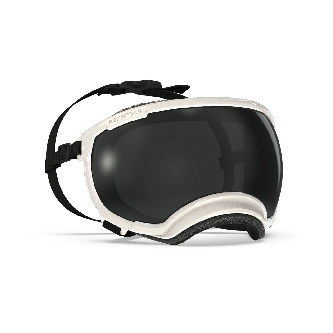 Goggles for Dogs - V2