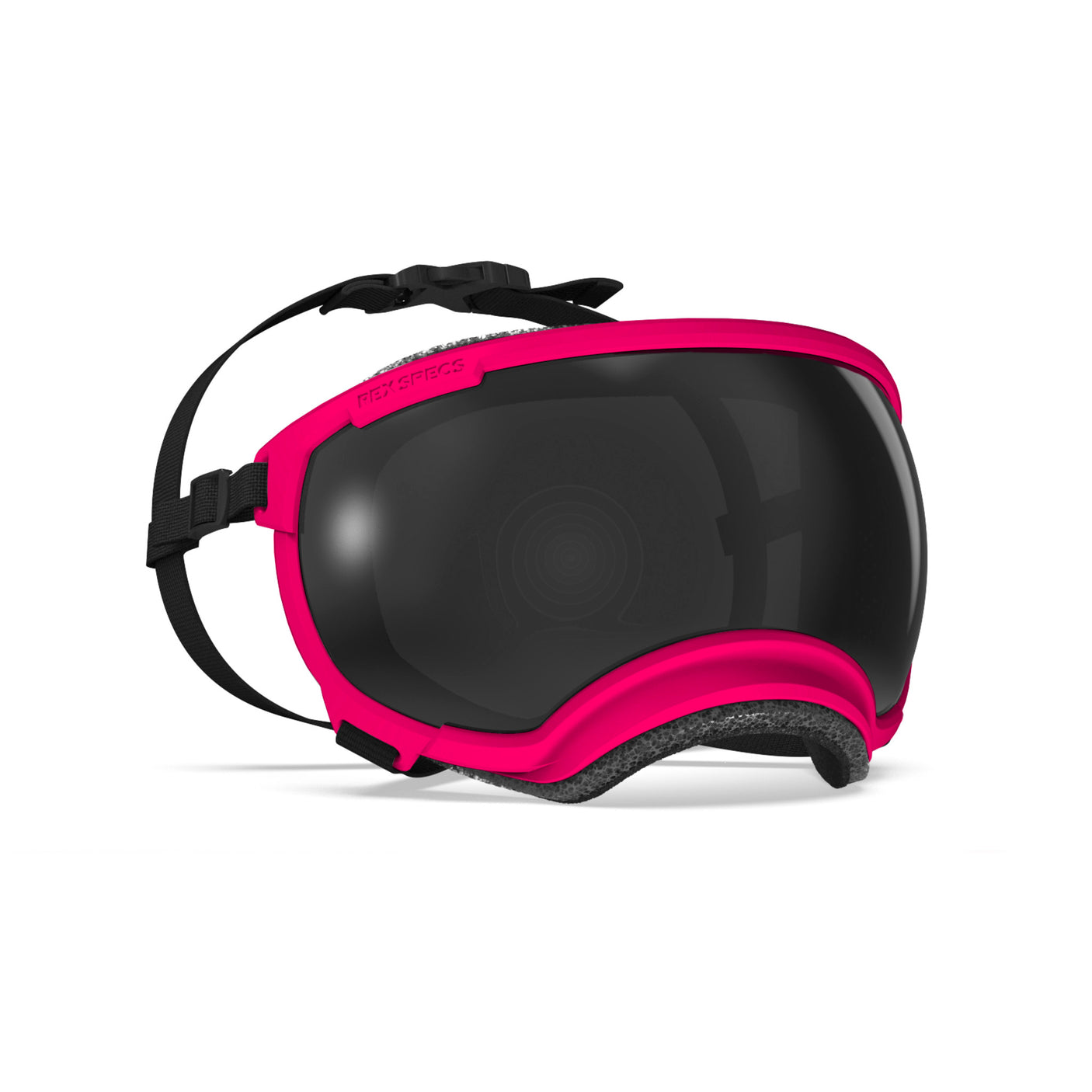 Goggles for Dogs - V2