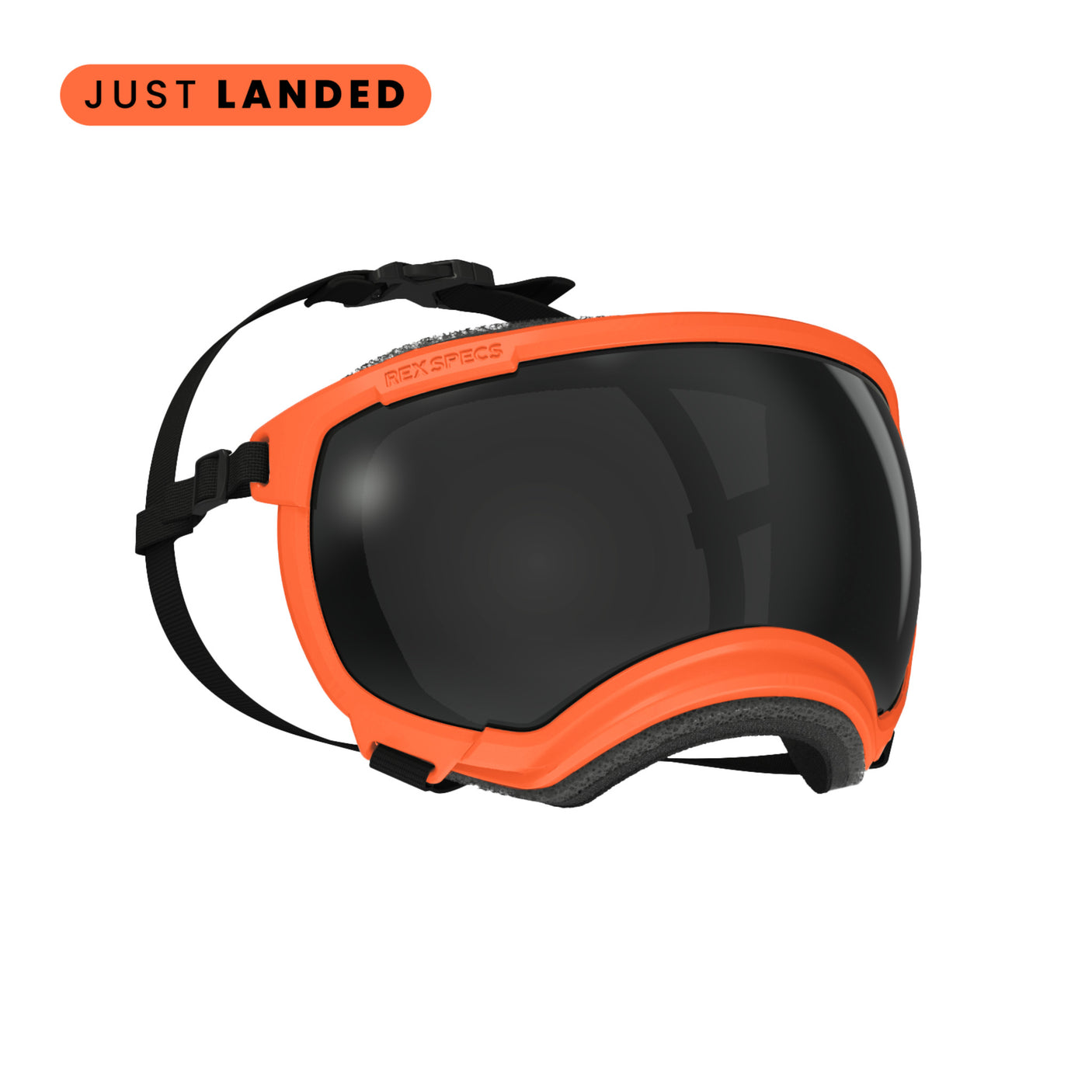 Goggles for Dogs - V2