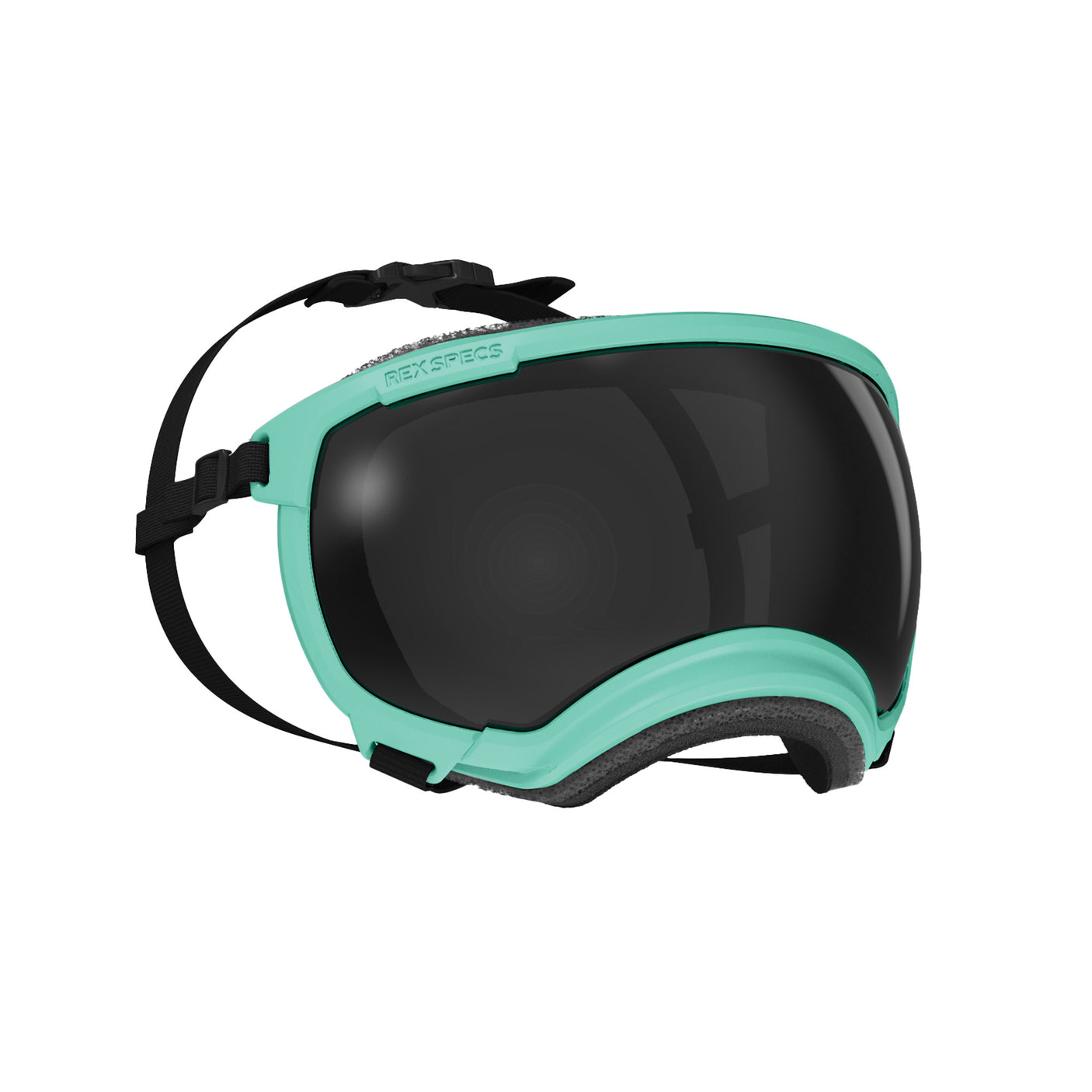 Goggles for Dogs - V2