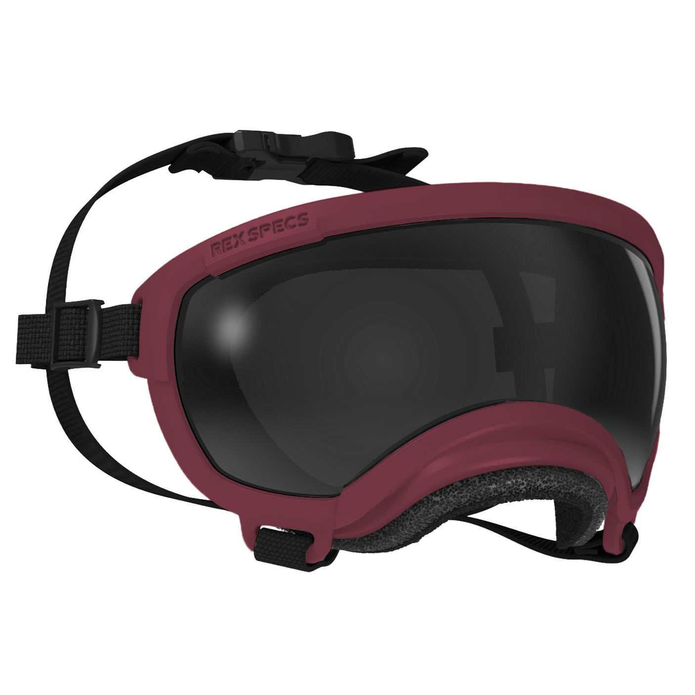 Goggles for Dogs - V2