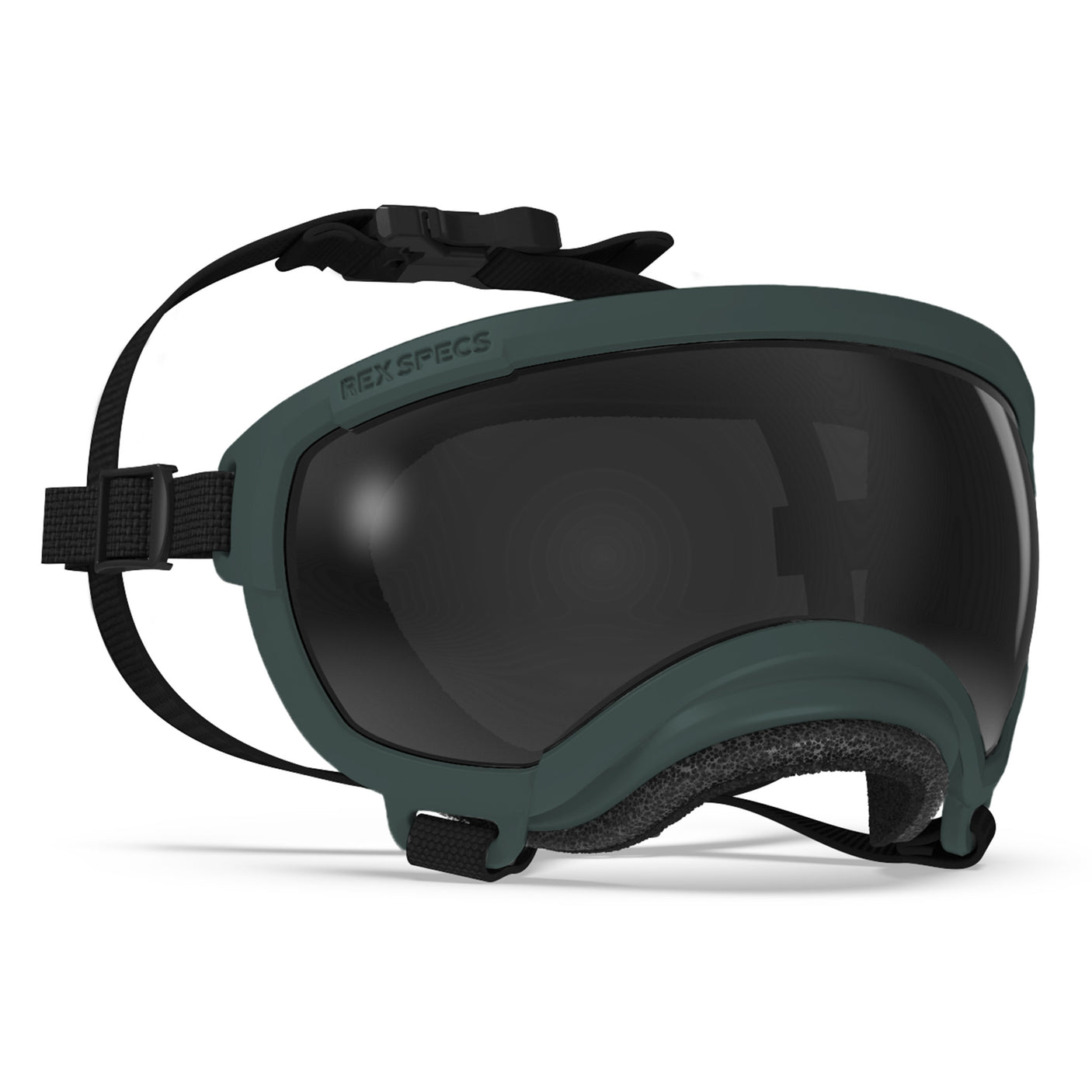 Goggles for Dogs - V2