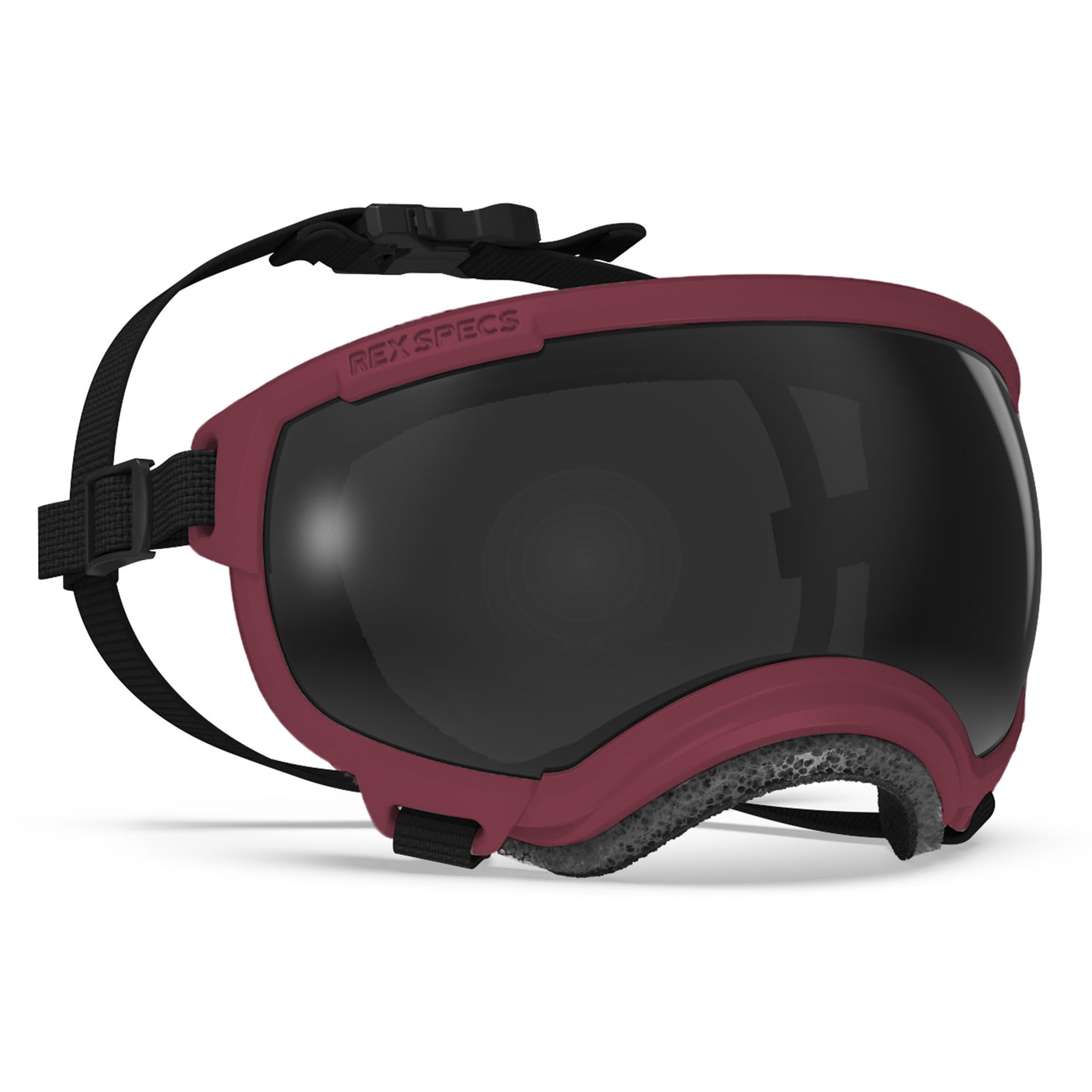Goggles for Dogs - V2