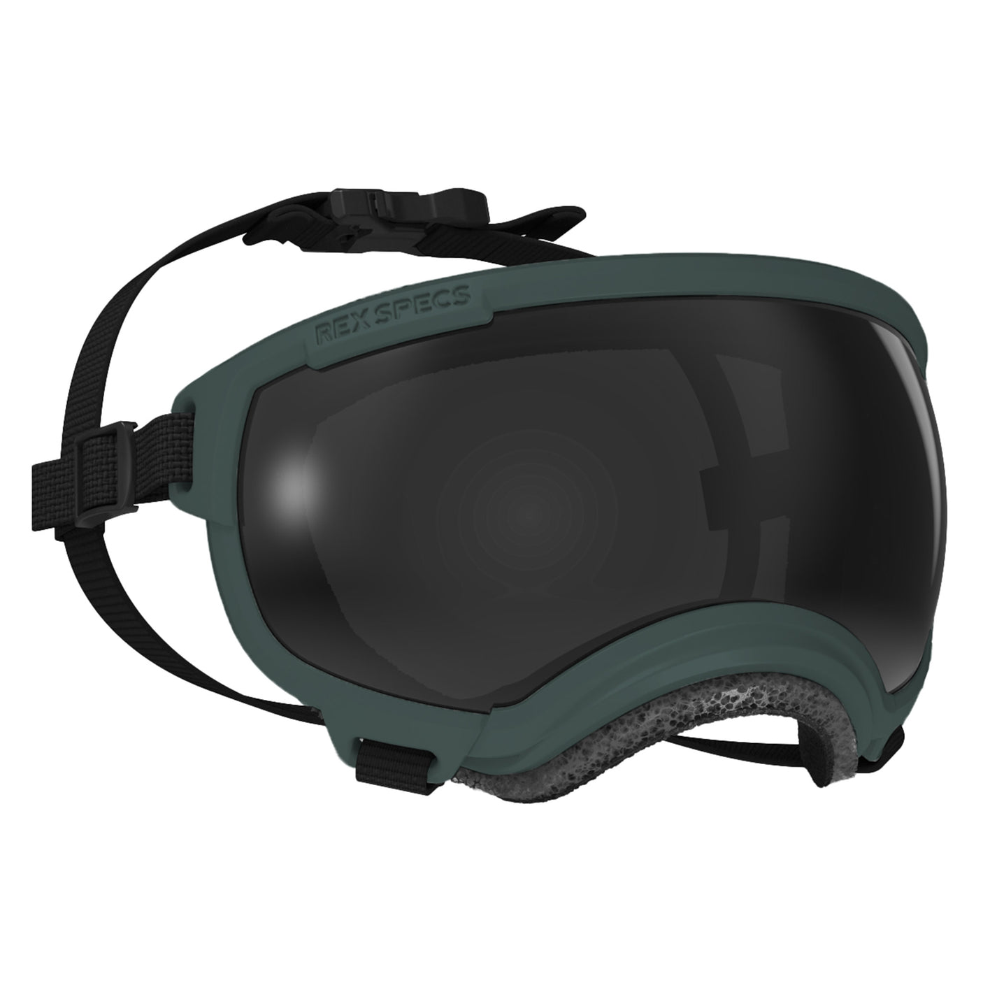 Goggles for Dogs - V2