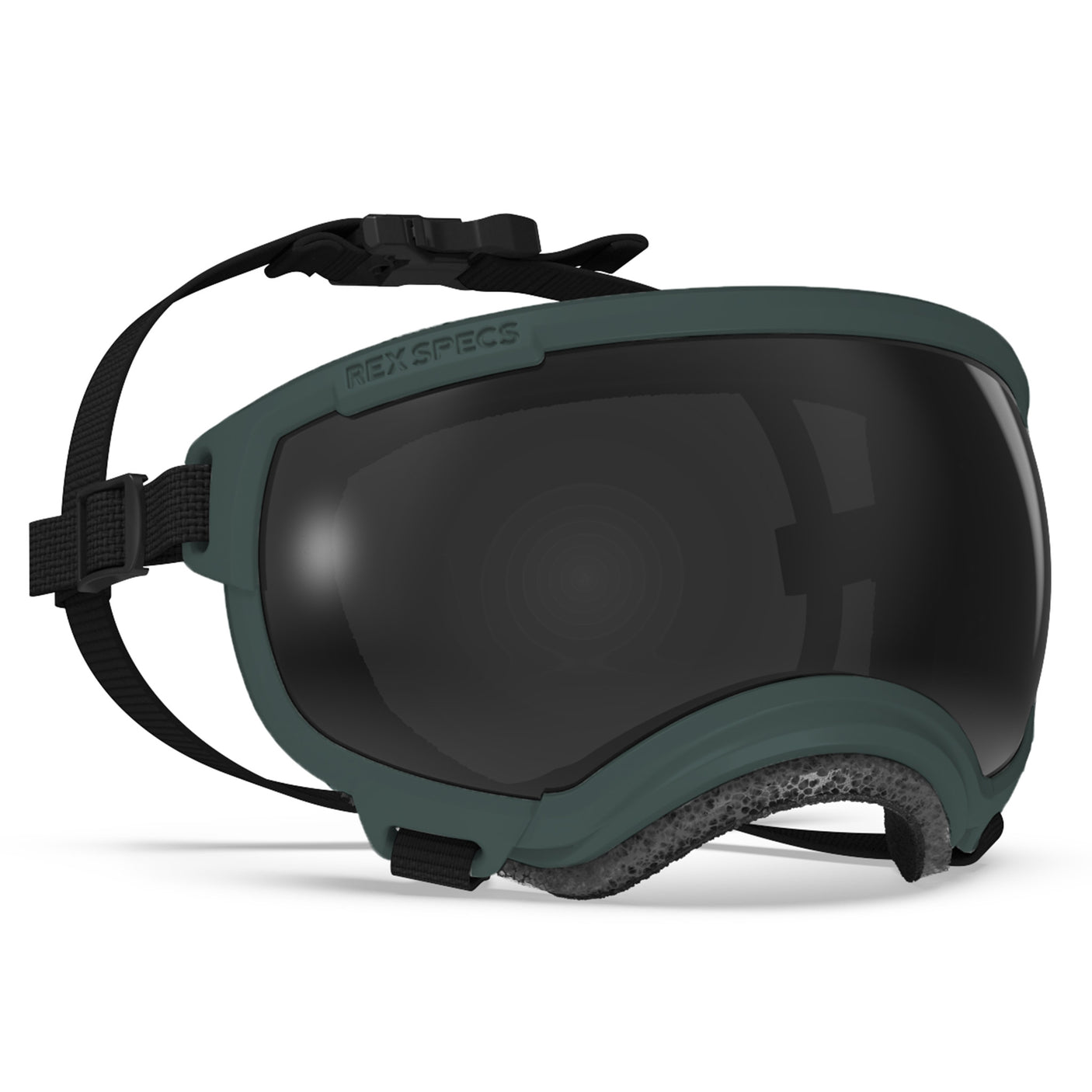 Goggles for Dogs - V2