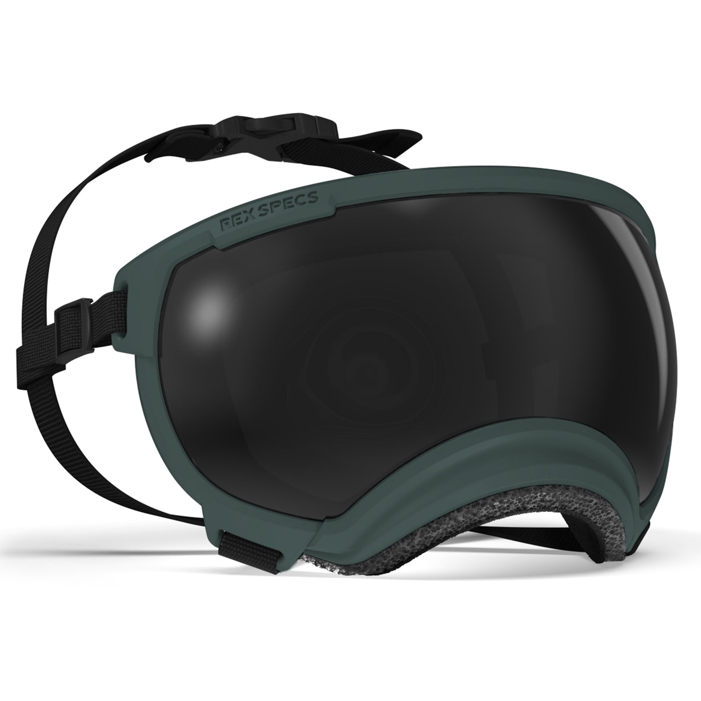 Goggles for Dogs - V2