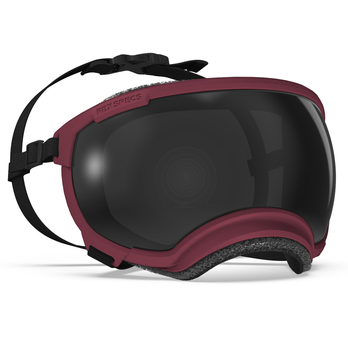 Goggles for Dogs - V2