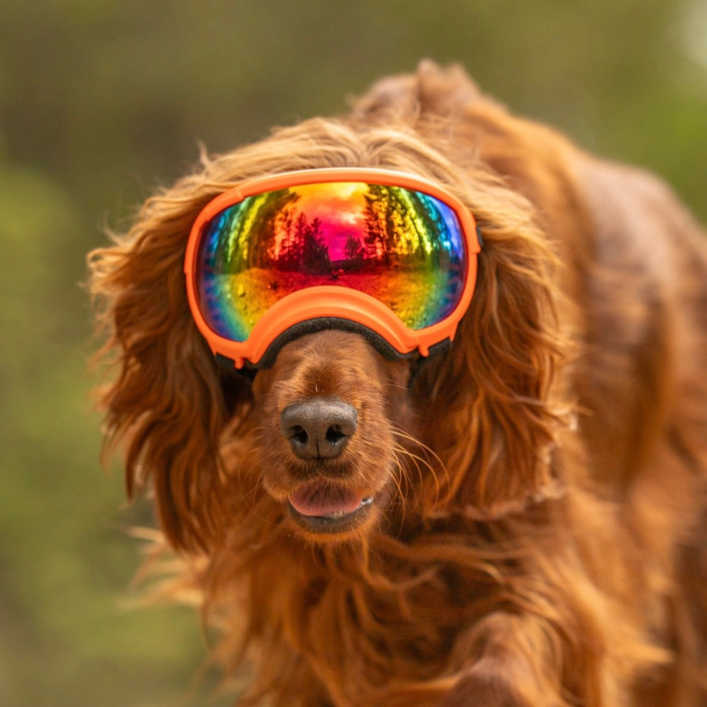 Goggles for Dogs - V2
