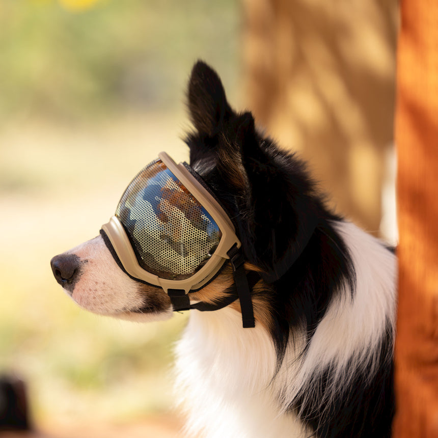 Dog Goggles Lens Wraps