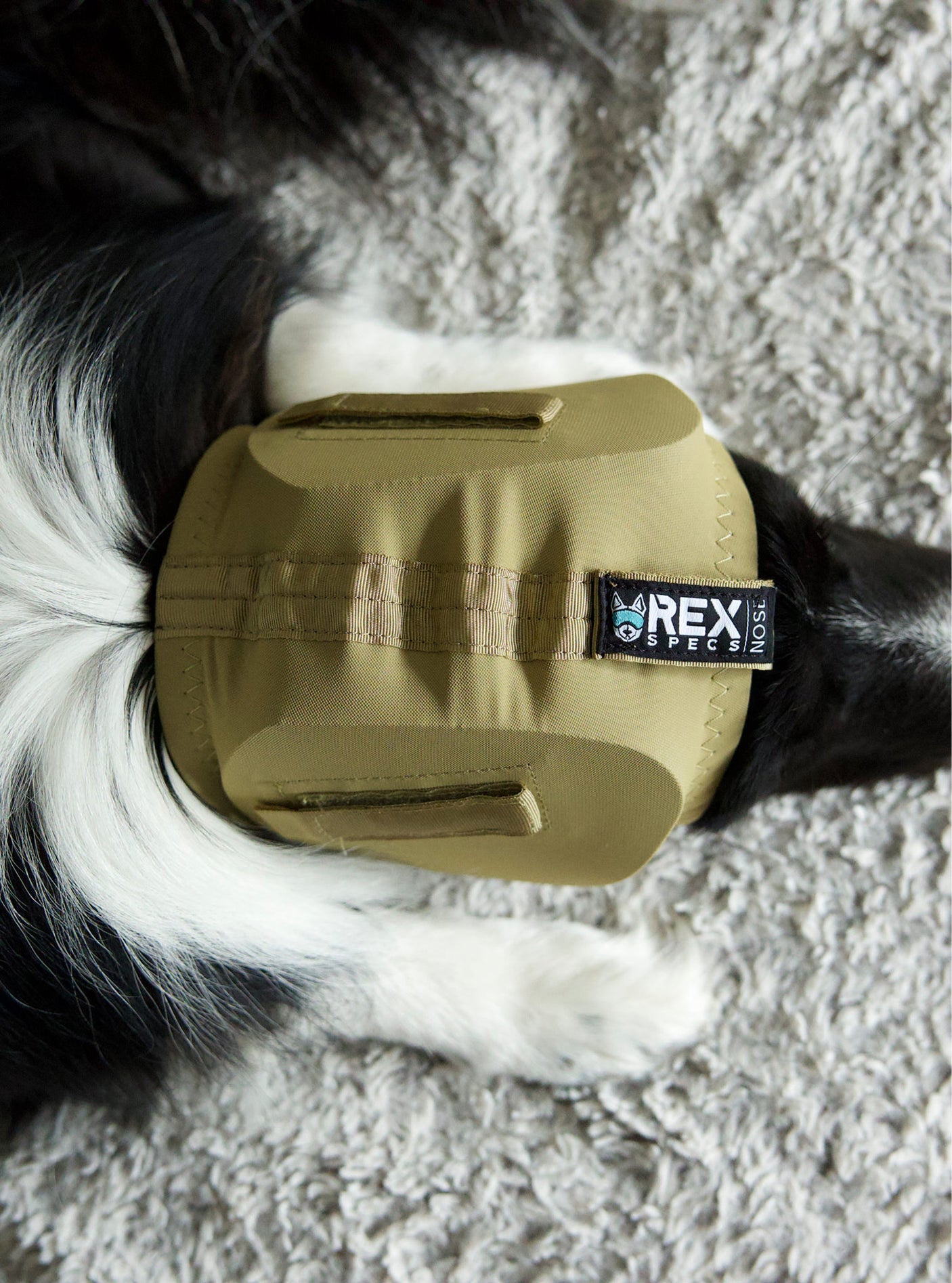 Ear Pro for Dogs