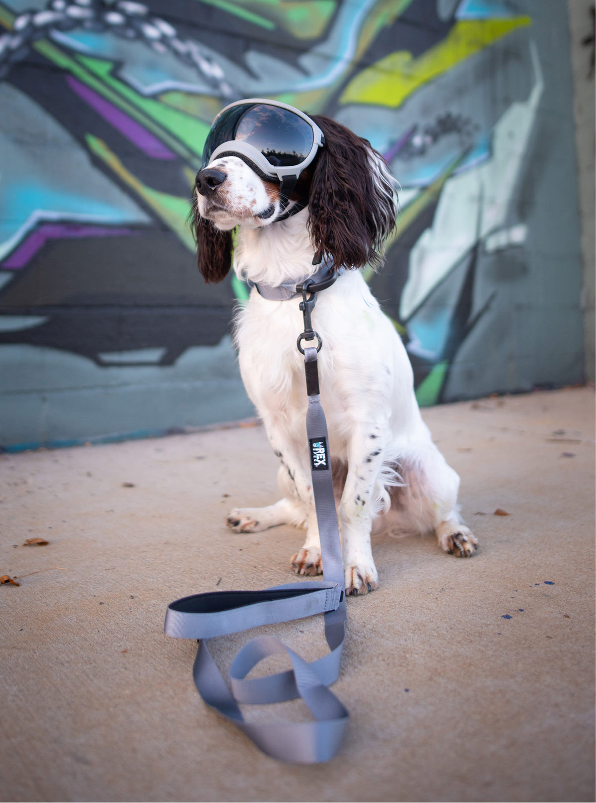 Trailhead Leash Single Snap