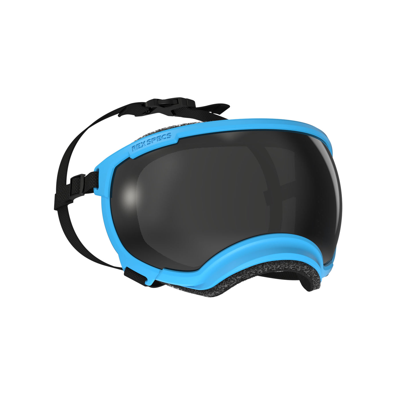 Goggles for Dogs - V2