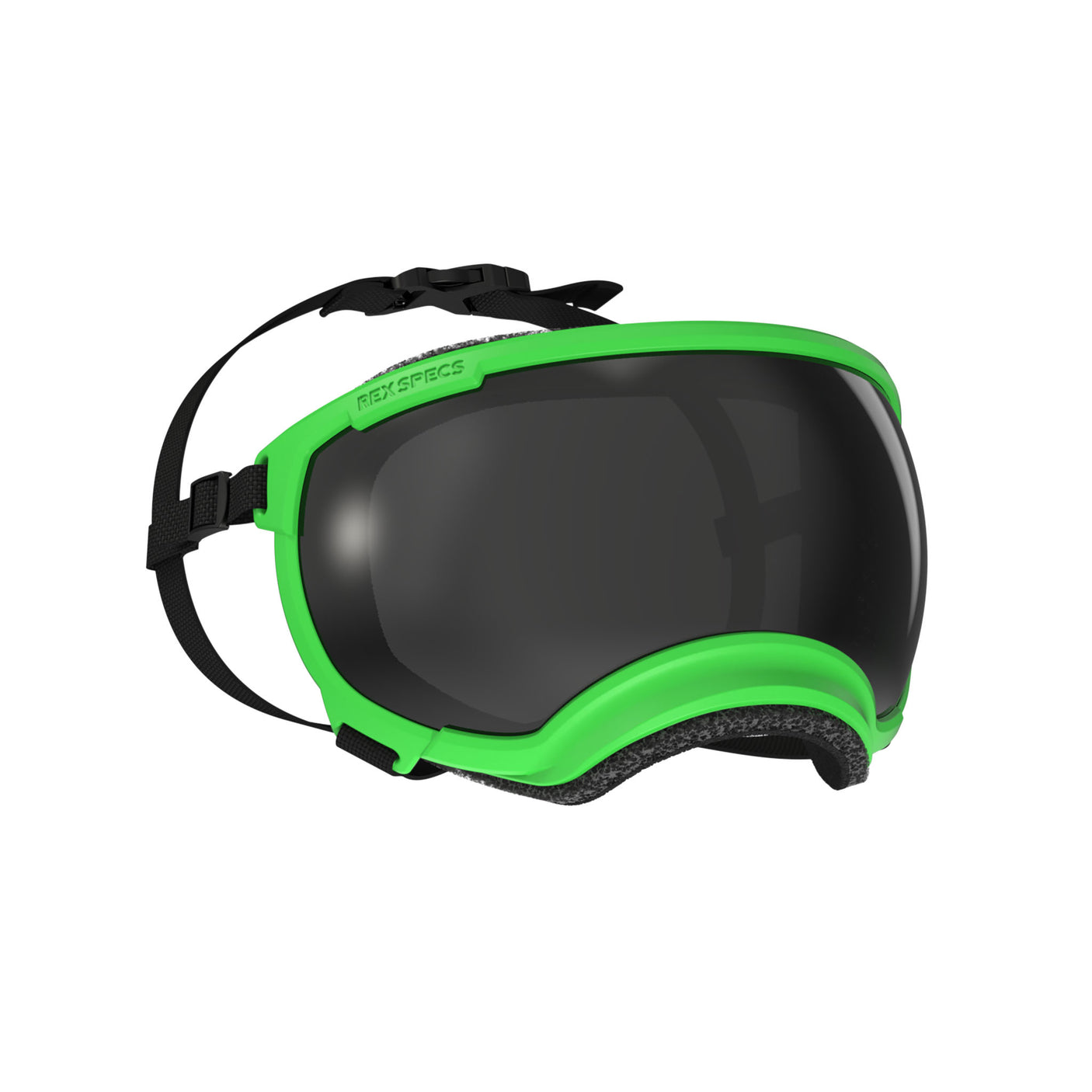 Goggles for Dogs - V2