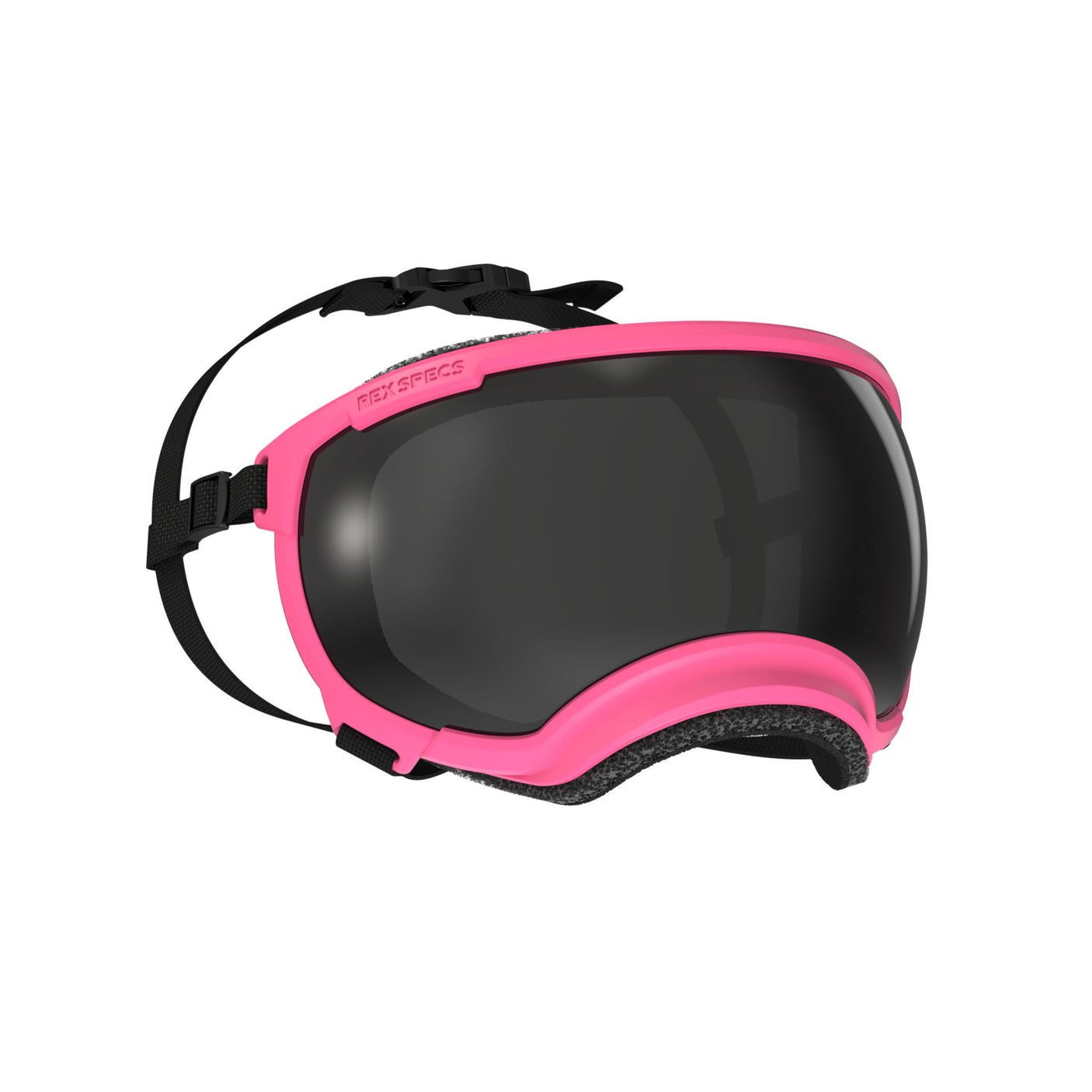 Goggles for Dogs - V2