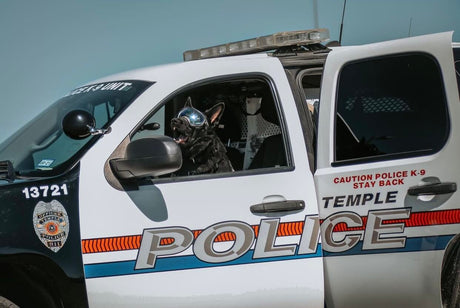 Behind the Badge: Police K9s