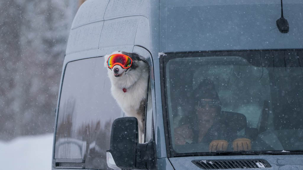 Australian Shepherd wearing Rex Specs dog goggles with their head out the window of a sprinter van during the winter.