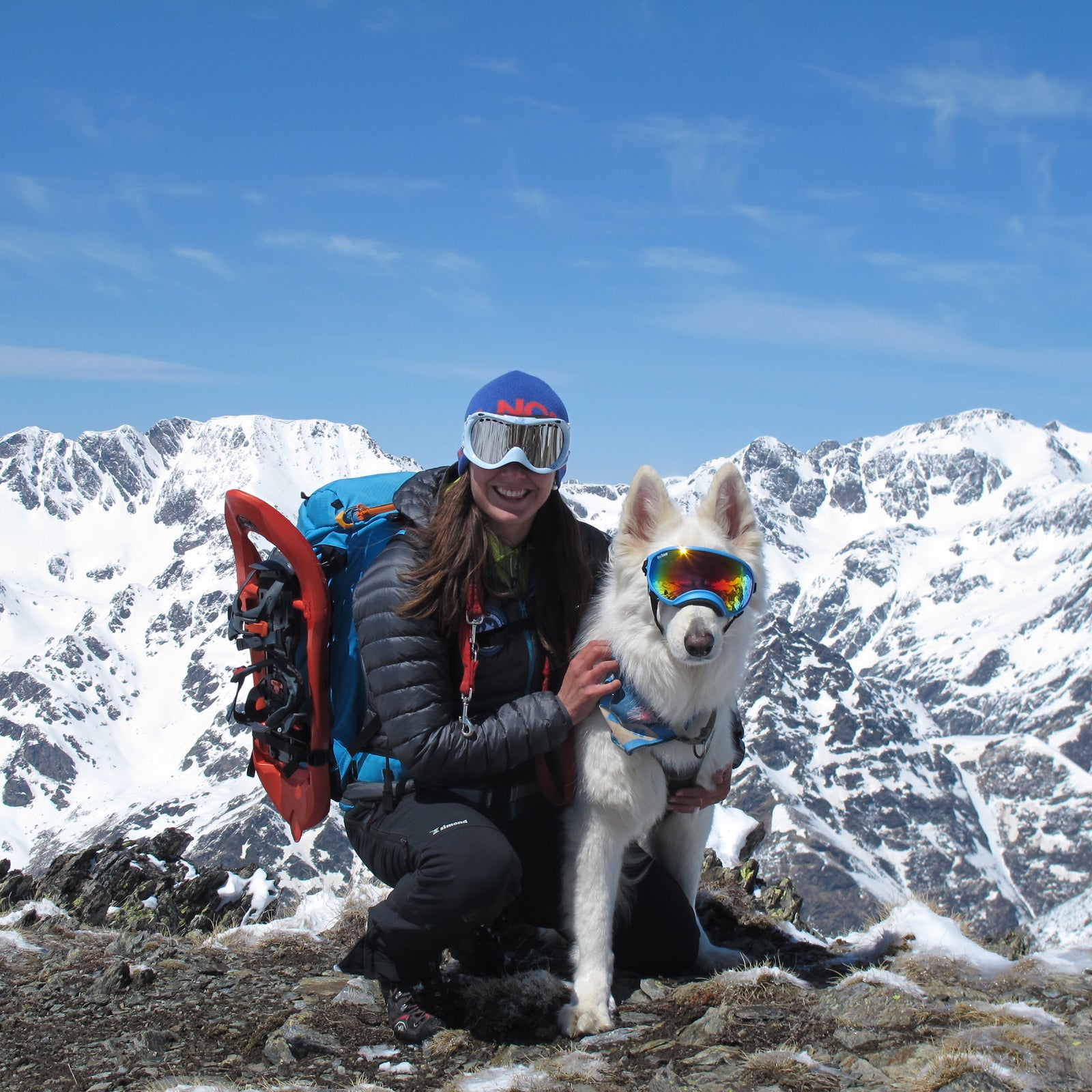 Female on top a mountain posing with dog wearing Rex Specs Dog Goggles