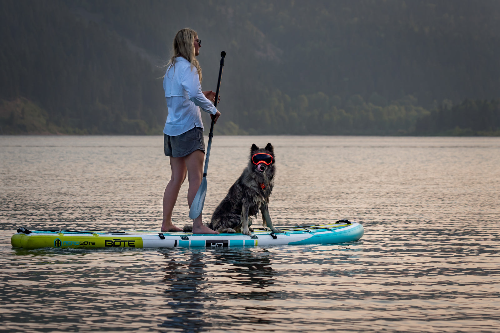 A Guide to SUP with Your Dog