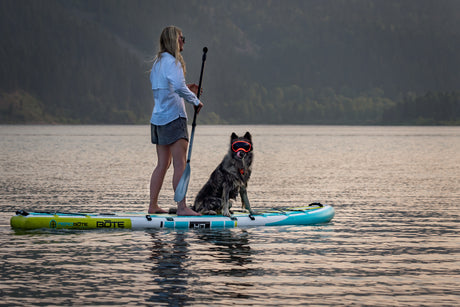 A Guide to SUP with Your Dog