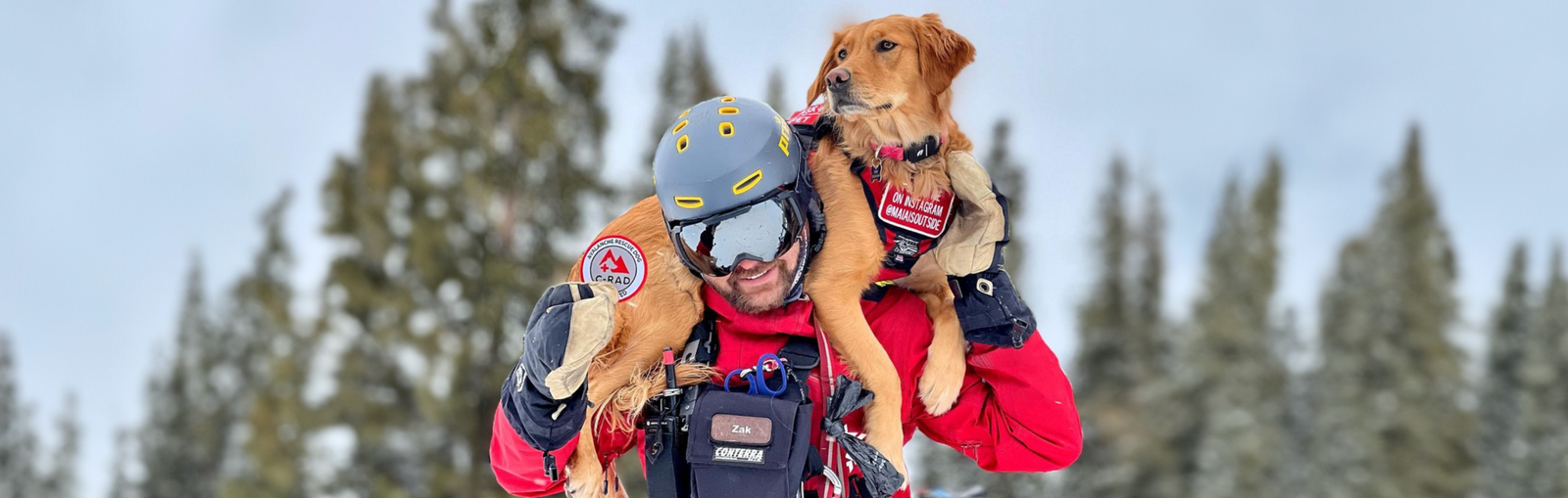A Day in the Life: Maia the Avy Pup