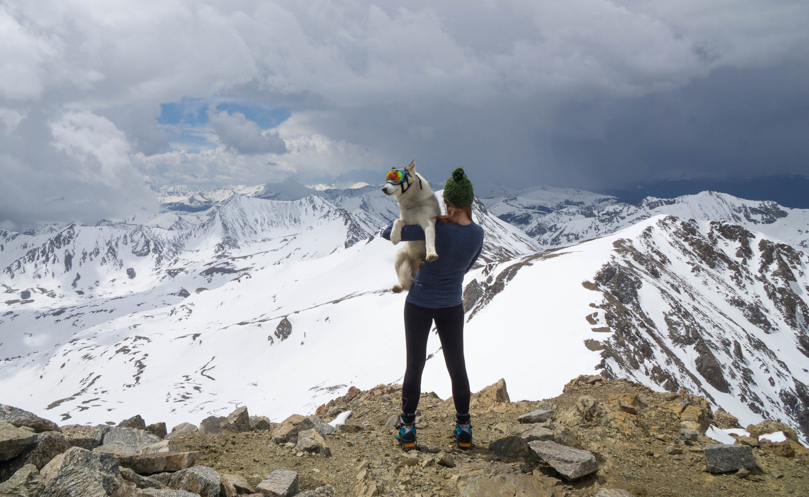 Service Dog stands at the summit of Mount Rainier in human's arms with big mountain views