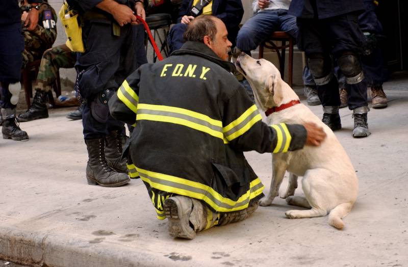 Hero Dogs of Ground Zero