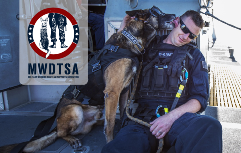 Military k9 Working Dog in Rex Specs Dog Goggles