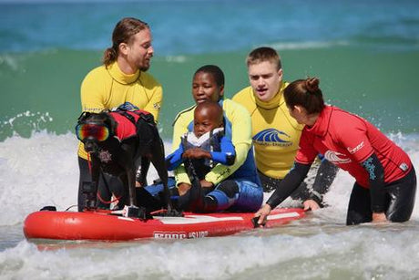 Black dog on a surf board in Rex Specs dog goggles helping to teach children in hospice care