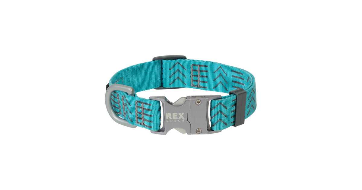 Terrain D.O.G. Reflektierendes Halsband Mit Schnellverschluss – Verstellbar, Robust & Sicher Für Aktive Hunde