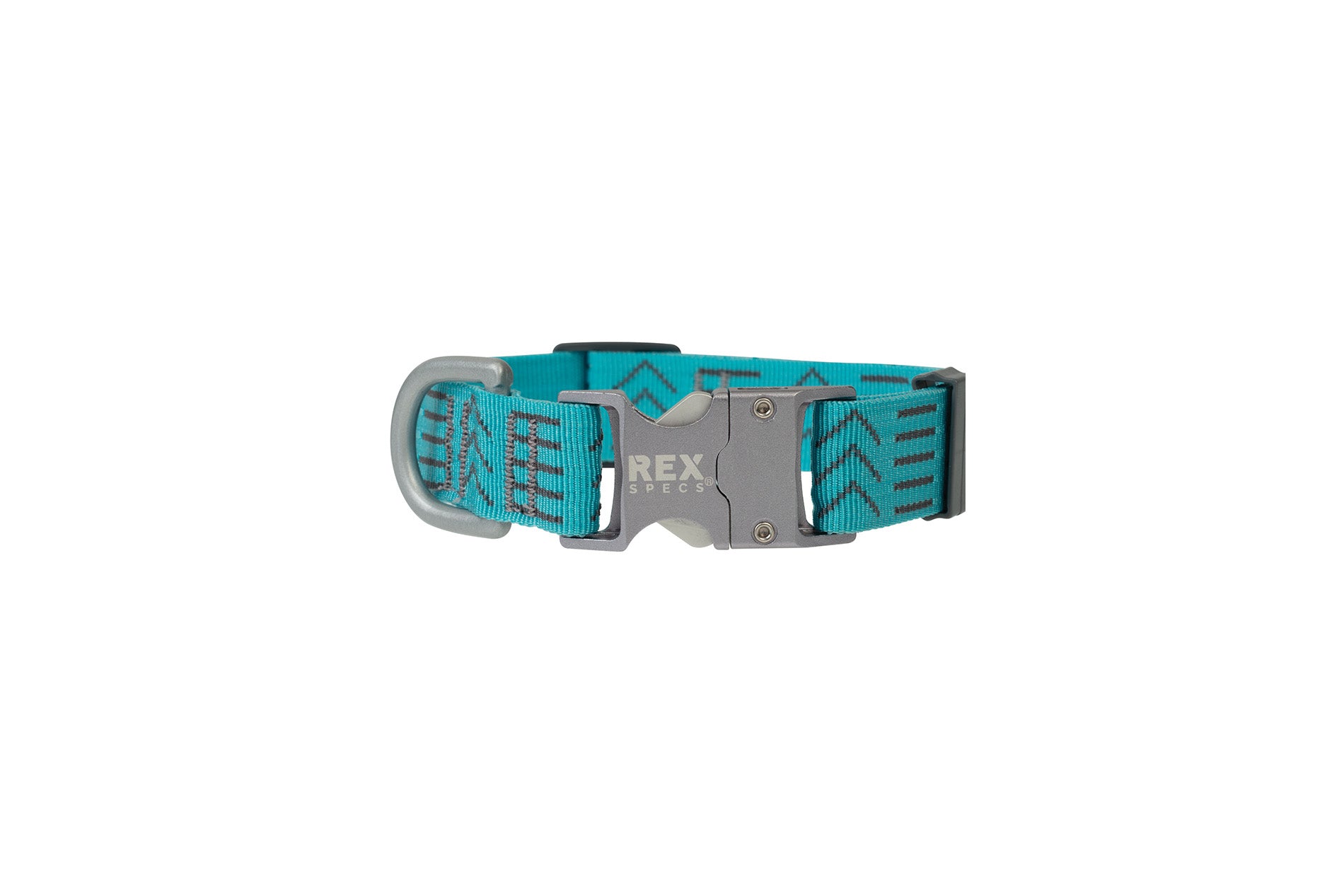 Rex Specs New Leashes and Collars