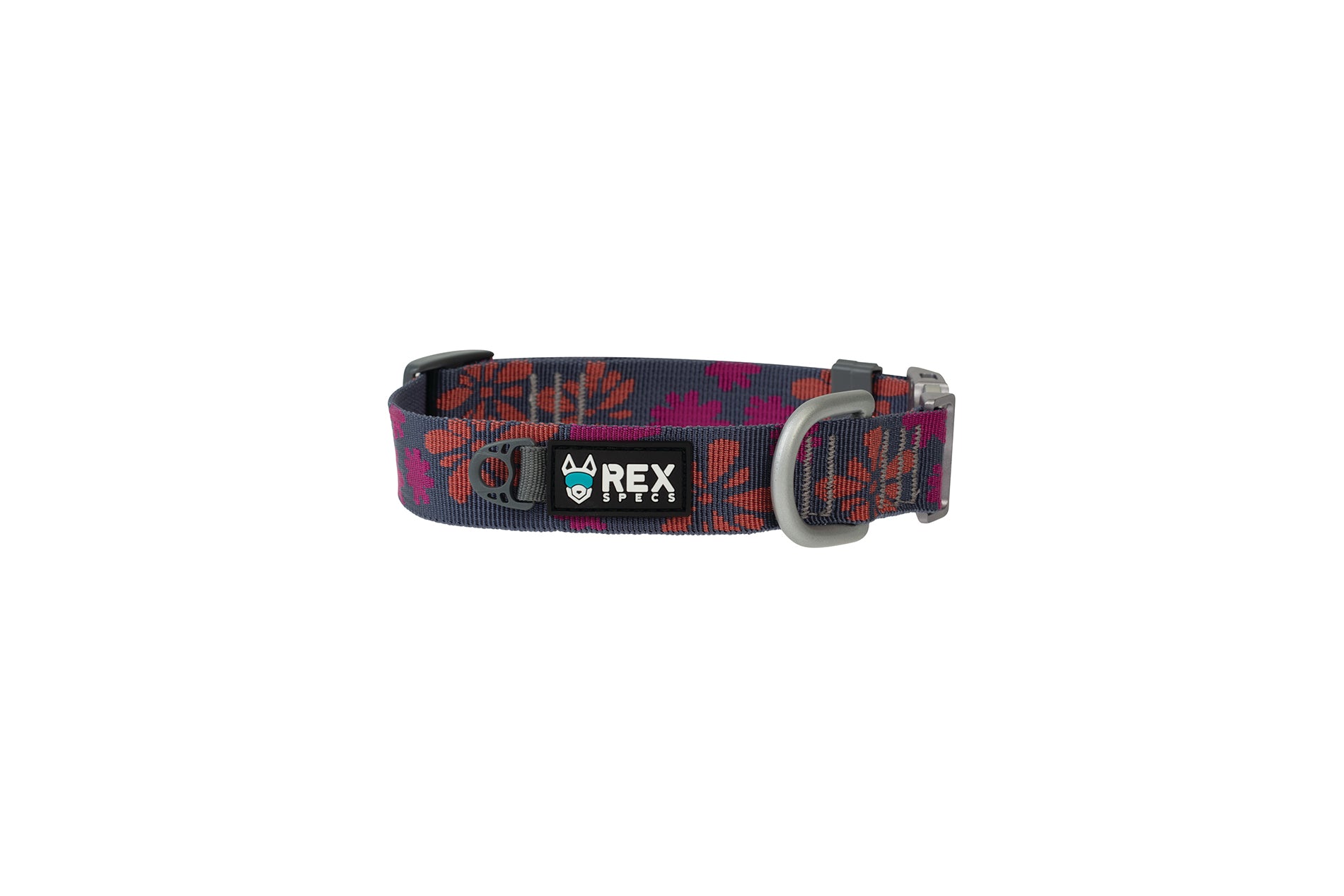Rex Specs New Leashes and Collars