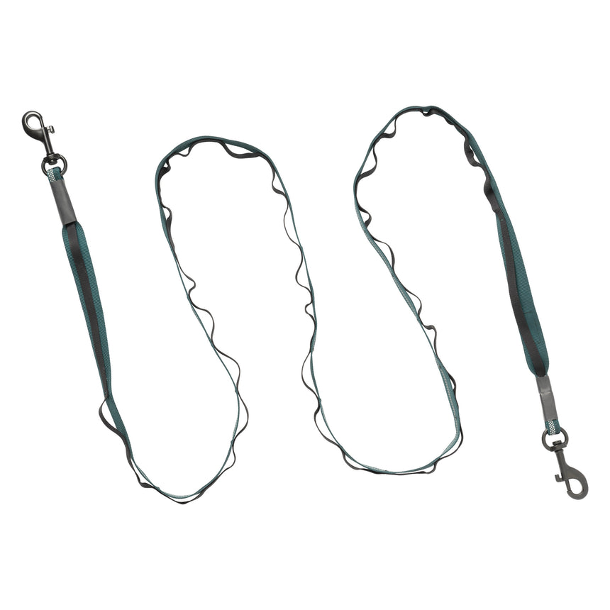 Reflective Trailhead Dual Snap Leash