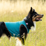 Cooling Dog Vest
