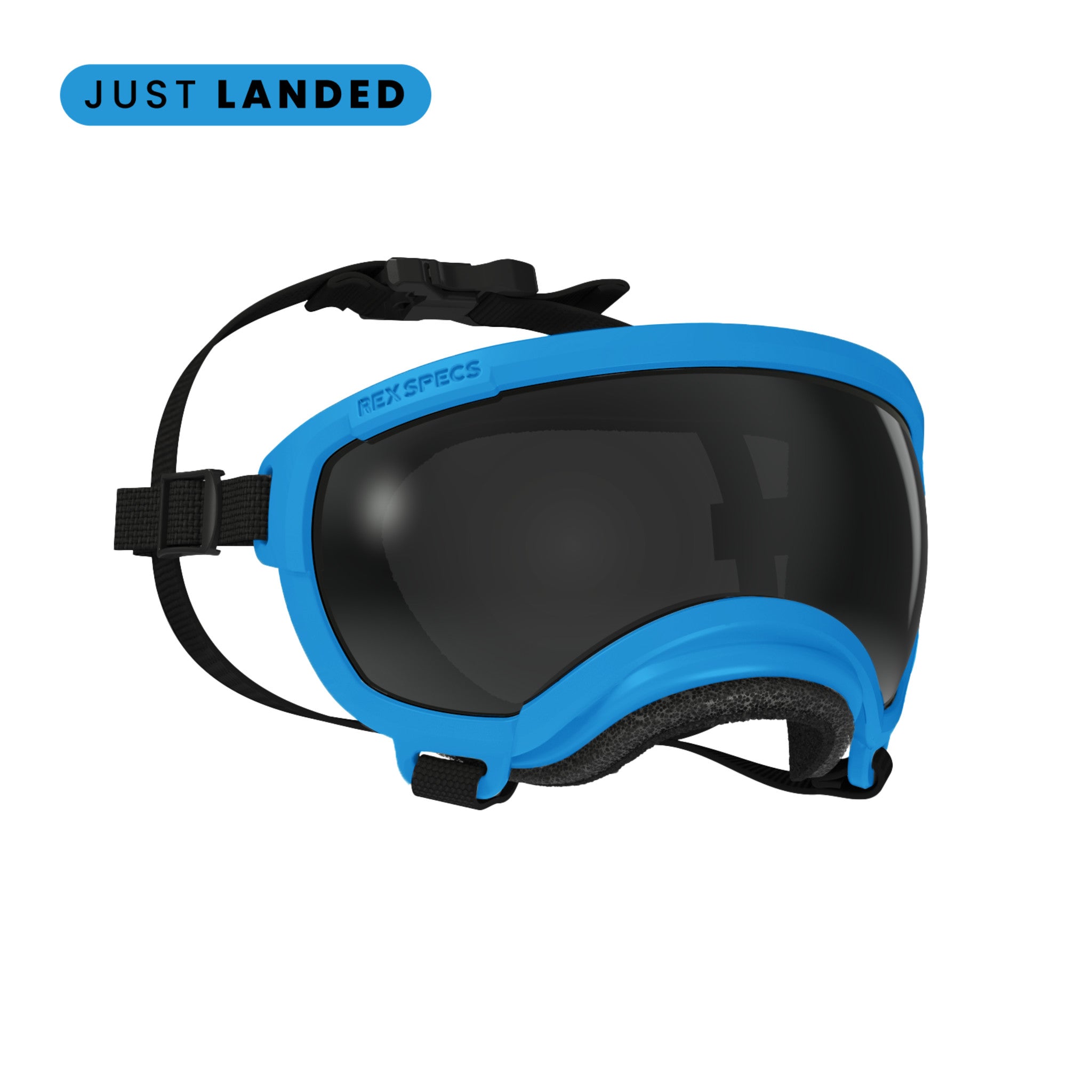 REX SPECS レックススペックス　Small ペット用ゴーグル Amazon.com : Rex Specs V2 Dog Goggles (X-Small, Black) : Pet