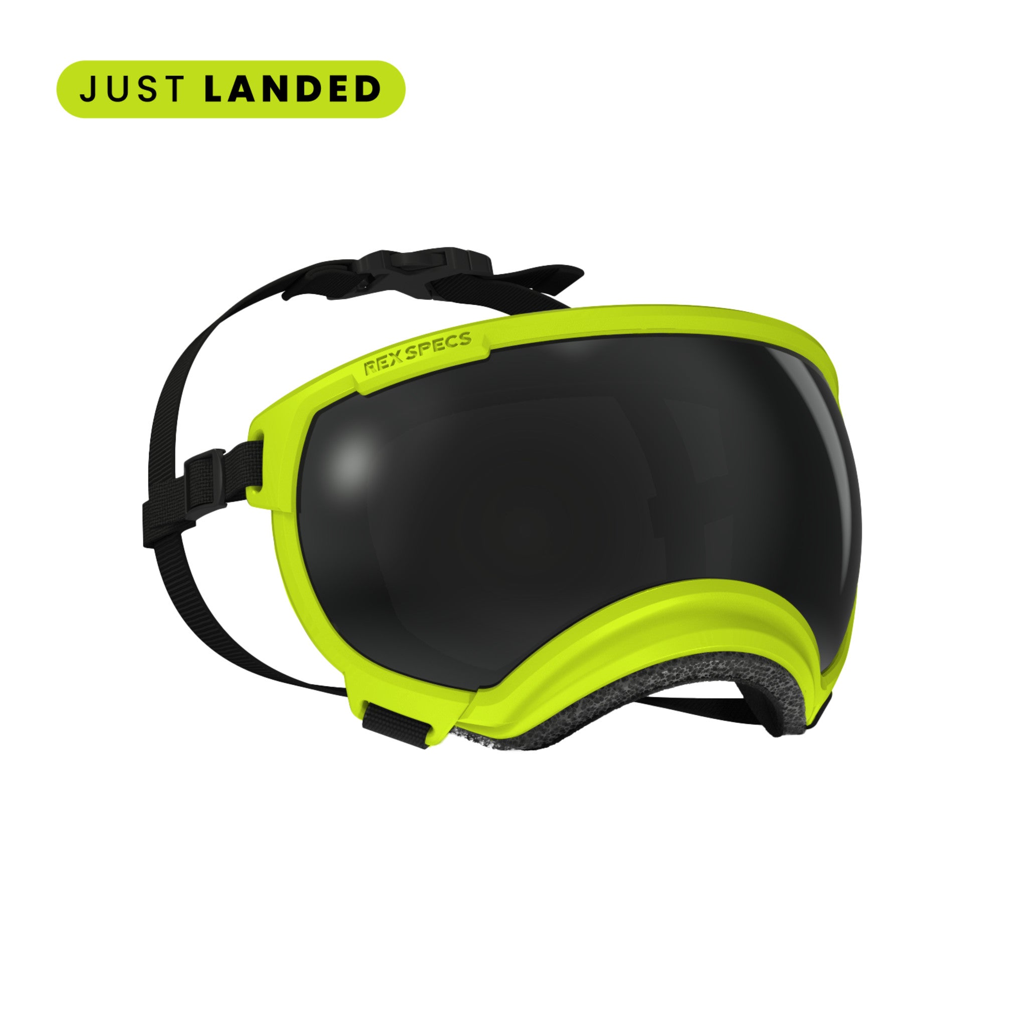 しつけ用品 Rexspecs DOG GOGGLES Amazon.com : Rex Specs V2 Dog Goggles (Small, Black) : Pet