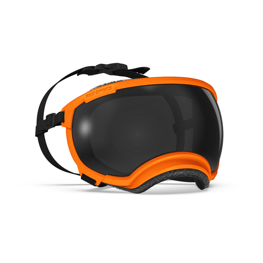 Goggles for Dogs - V2