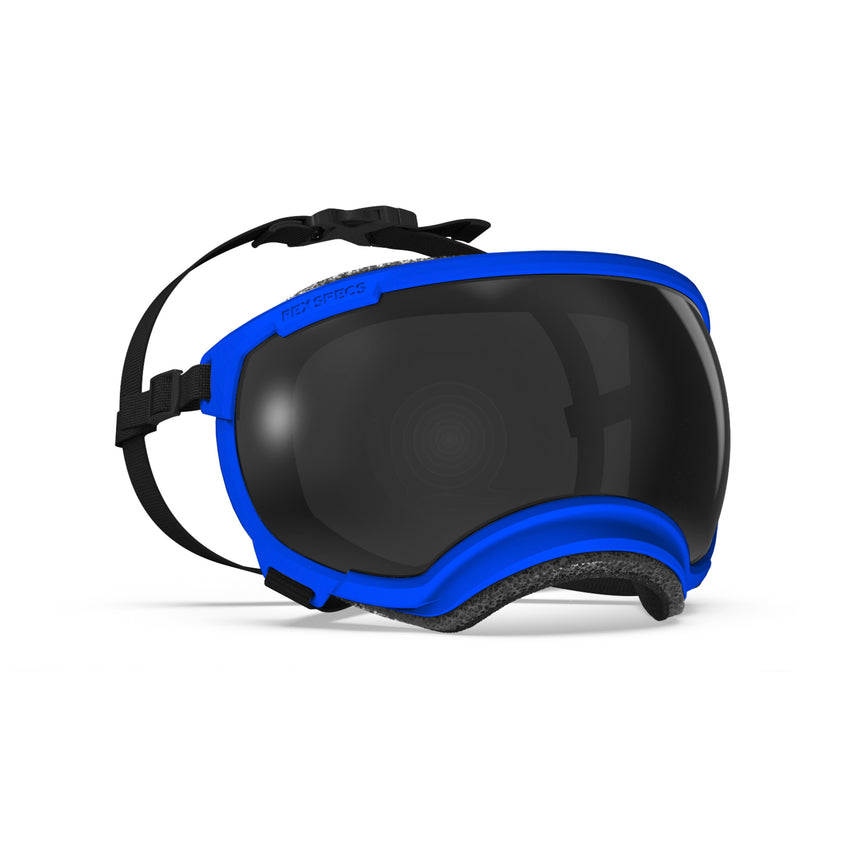 Goggles for Dogs - V2