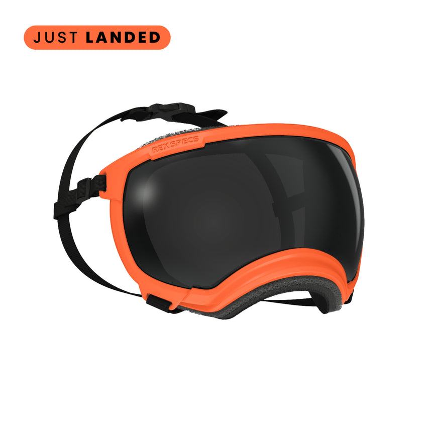 Goggles for Dogs - V2